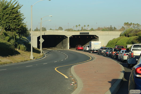 DNDIMG 5572 DNDIMG 5572