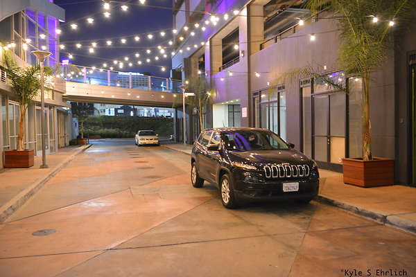 032 The Medalion B 032 The Medalion B