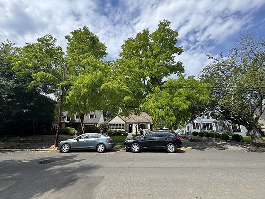 8.14 Reed-Collage Area 7429 SE 28th House-Streets Pre tech images 34 8.14 Reed-Collage Area 7429 SE 28th House-Streets Pre tech images 34