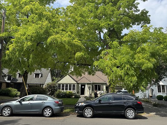 8.14 Reed-Collage Area 7429 SE 28th House-Streets Pre tech images 35 8.14 Reed-Collage Area 7429 SE 28th House-Streets Pre tech images 35