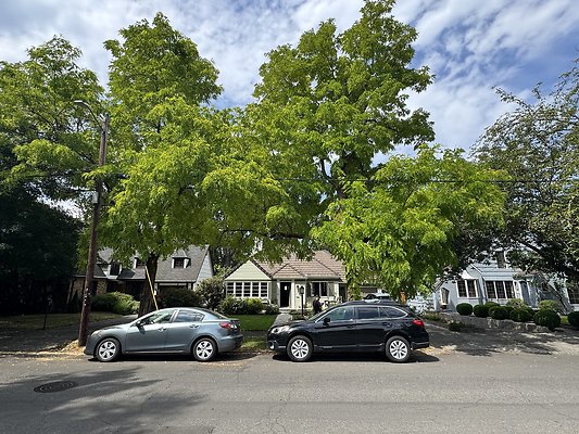 8.14 Reed-Collage Area 7429 SE 28th House-Streets Pre tech images 33 8.14 Reed-Collage Area 7429 SE 28th House-Streets Pre tech images 33