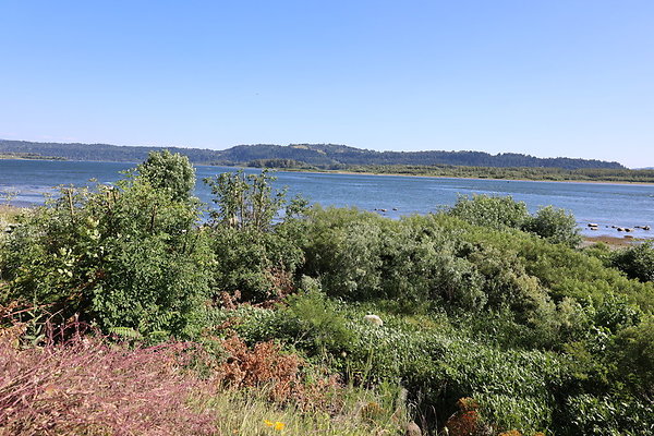 Steamboat Landing 037 Steamboat Landing 037