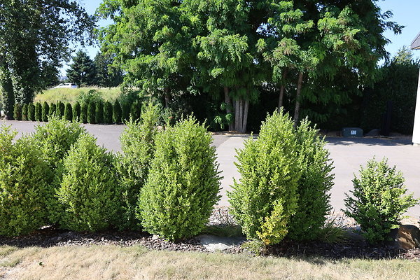 Steamboat Landing 045 Steamboat Landing 045