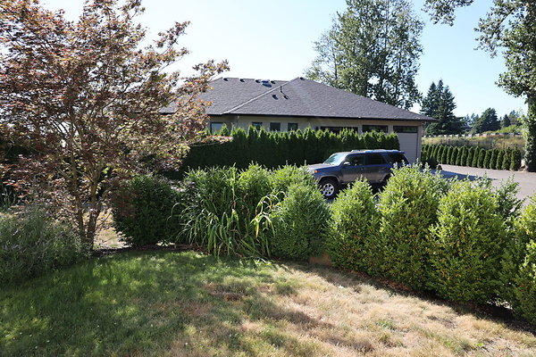 Steamboat Landing 042 Steamboat Landing 042