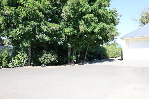 Steamboat Landing 007 Steamboat Landing 007