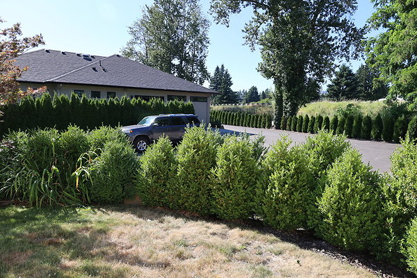 Steamboat Landing 043 Steamboat Landing 043