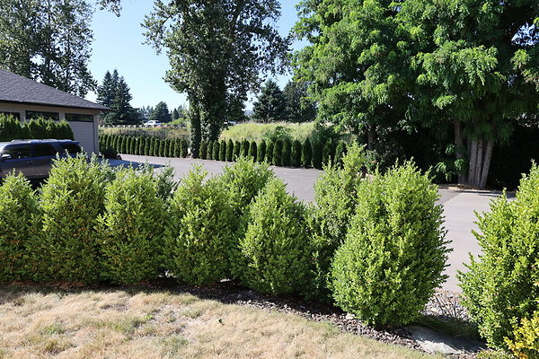 Steamboat Landing 044 Steamboat Landing 044