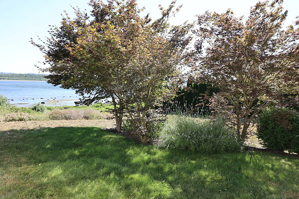 Steamboat Landing 040 Steamboat Landing 040