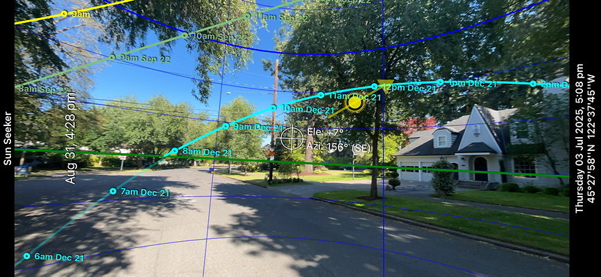 Crystal Springs Sun 005 x Crystal Springs Sun 005 x