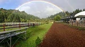 images-1 x images-1 x