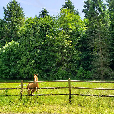 20200618-132320 x 20200618-132320 x