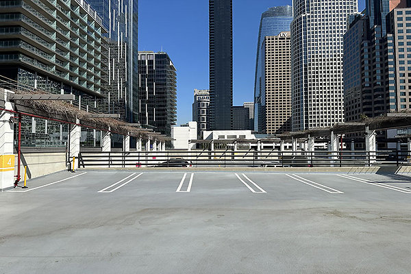 865FigPrk9738 865FigPrk9738