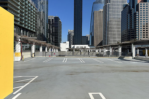 865FigPrk9736 865FigPrk9736