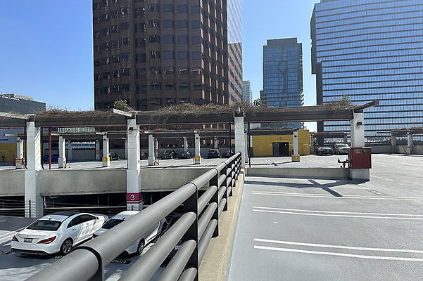 865FigPrk9742 865FigPrk9742