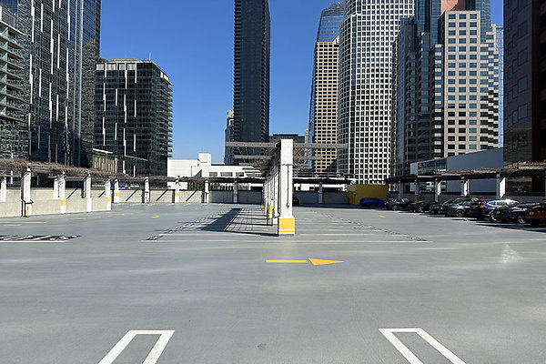 865FigPrk9733 865FigPrk9733