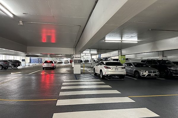 865FigPrk9764 865FigPrk9764