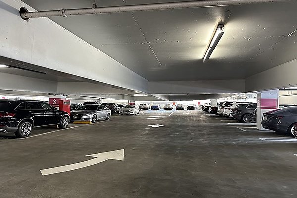 865FigPrk9753 865FigPrk9753