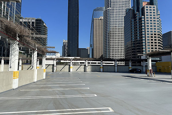 865FigPrk9743 865FigPrk9743