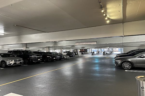 865FigPrk9763 865FigPrk9763