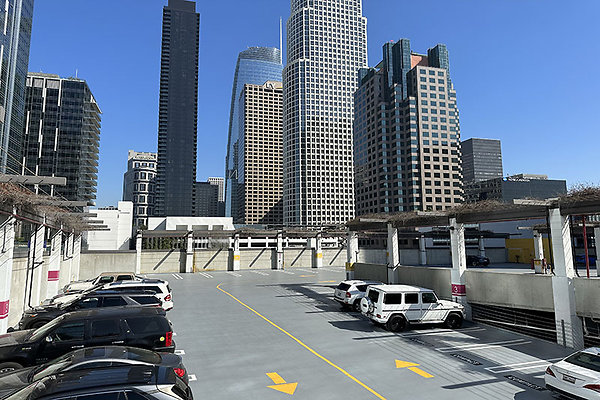 865FigPrk9741 865FigPrk9741