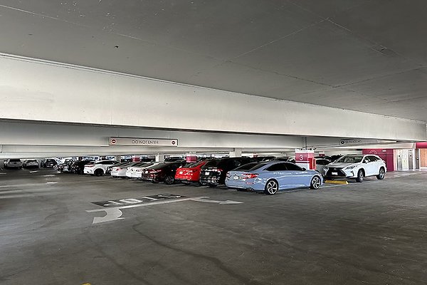 865FigPrk9749 865FigPrk9749