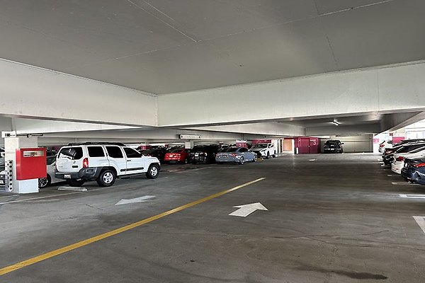 865FigPrk9748 865FigPrk9748