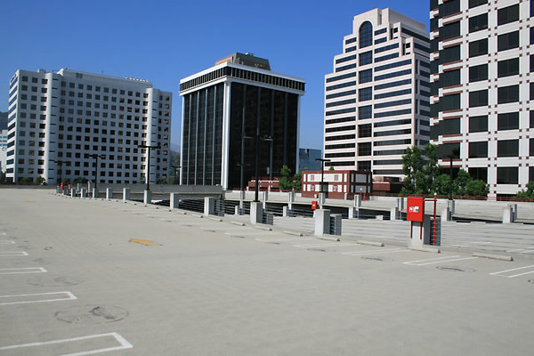 036 LP 505 North Brand 036 LP 505 North Brand