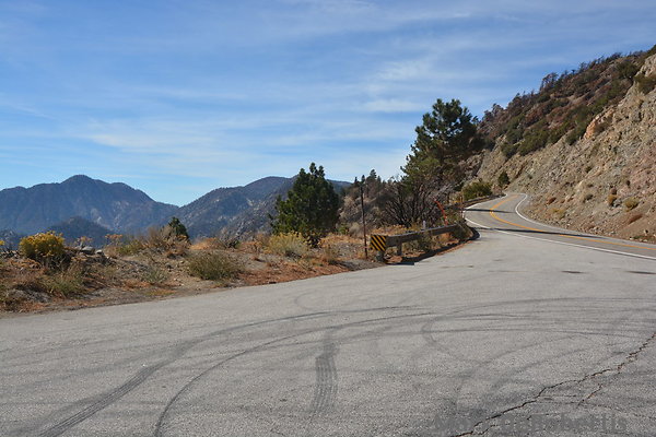 MDR 6599 - 24mm  250deg  1pm