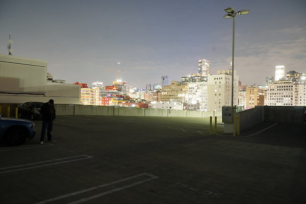 636-S-Maple-PCI-001 636-S-Maple-PCI-001