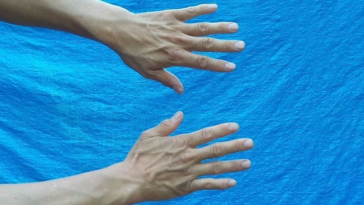 12--ROGERLIM 12--ROGERLIM